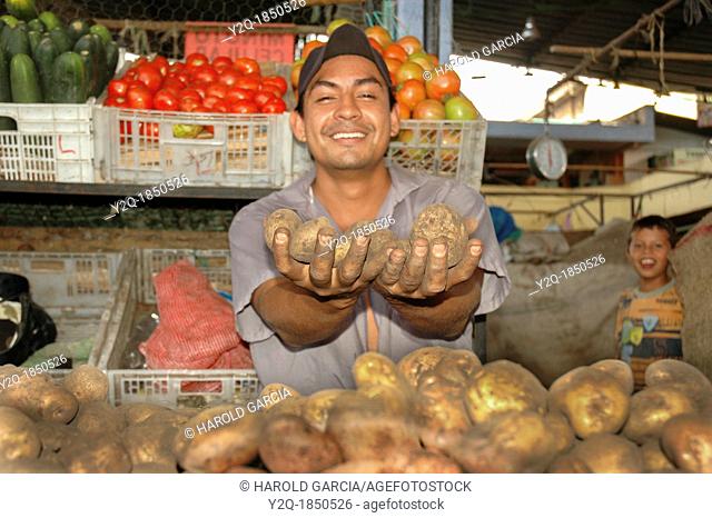 Farmer with potatoes, Vegetables Market, Colombia, South America