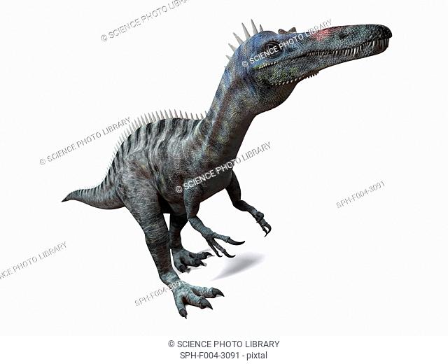 Suchomimus dinosaur, computer artwork. This dinosaur lived 110 to 120 million years ago during the middle of the Cretaceous period
