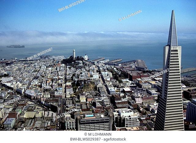 Transamericana Pyramid and Telegraph Hill, view out of Bank of America, USA, California, San Francisco