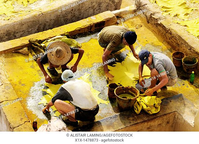 Morocco, Fez, Chouwara Tannery, Workers applying yellow dye to hides