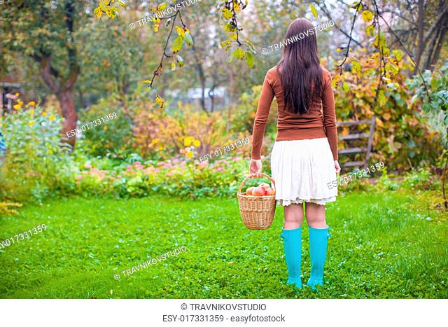 Rear view of Young woman in rubber boots holding the straw basket with red apples at autumn time