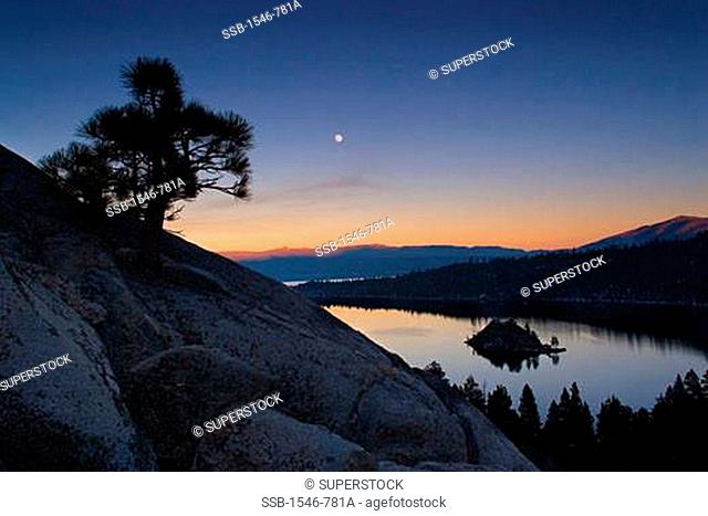 Silhouette of trees near Emerald Bay, Lake Tahoe, California, USA