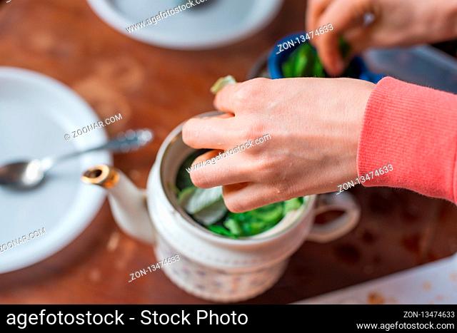 woman's hand in the frame brews a fragrant summer tea from the leaves collected in the garden. Selective focus macro shot with shallow DOF