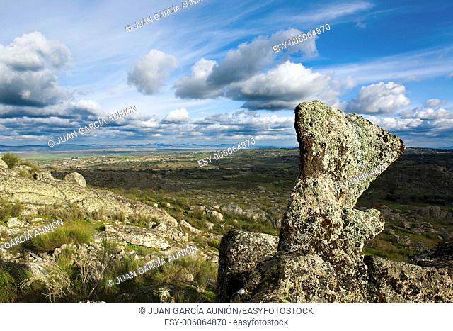 Natural environment in Valencia de Alcantara with granitic batholith called -canchales-, granite blocks with huge balls covered with lichens and mosses