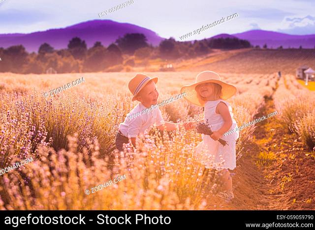Two adorable kids, boy and girl, standing opposite each other in beautiful lavender field, holding their hands together. Pair of lovely kids a moment before...