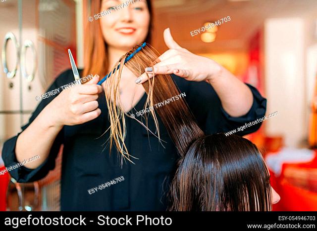 Female hairstylist runs the comb, woman in hairdressing salon. Hairstyle making in beauty studio