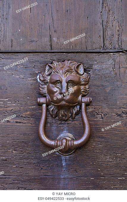 Ancient italian door lion knocker on wooden background