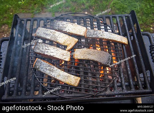 Filets of salmon are grilled over an open flame