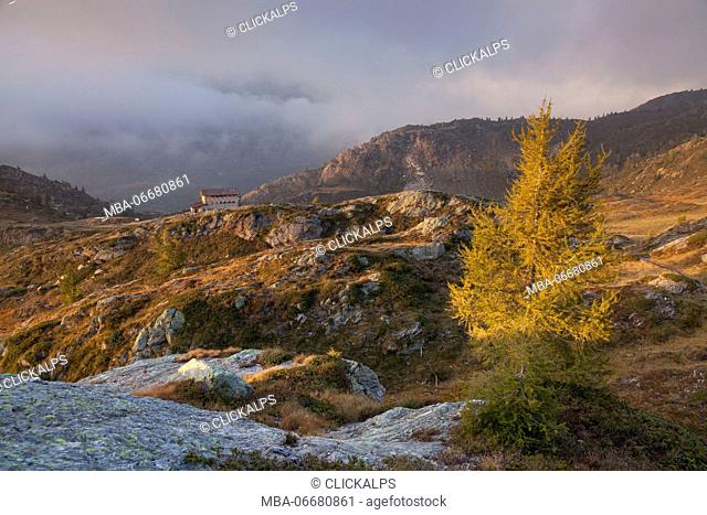 Calvi hut, Brembana valley, Bergamo province, Orobie regional park, Lombardy, Italy. Larch and Calvi refuge in autumn