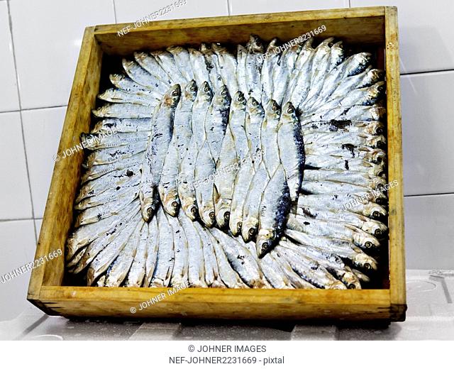 Sardines in wooden box