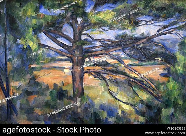 Great Pine near Aix, 1895-1897, Paul Cezanne, Ermitage museum, St Petersbourg, Russia, on display at the exhibition Icons of Modern Art