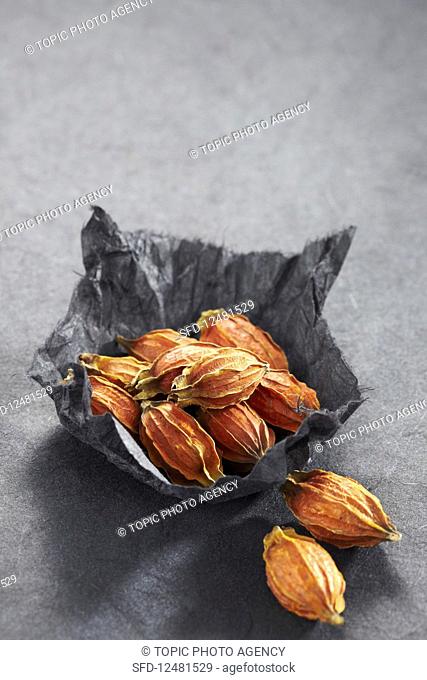 Gardenia fruit in paper on a grey surface