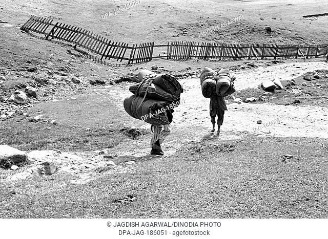 Two porters carrying heavy luggage Gulmarg Jammu and Kashmir India Asia 1971