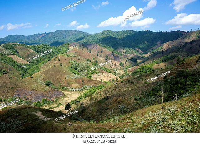 Rolling hills, fields, forests, near Mea Salong, Northern Thailand, Thailand, Asia