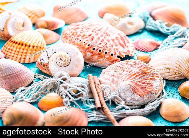 Assortment of seashells on blue background. Summer beach and holiday concept