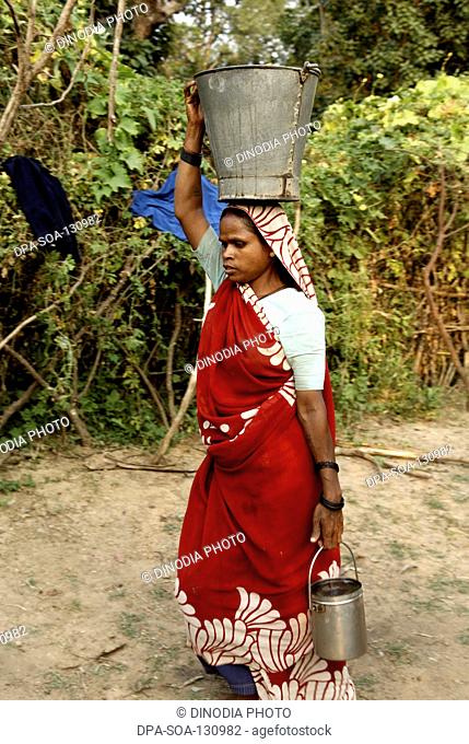 Woman carrying water in metal pots ; Carm Daksh ; Bilaspur ; Chhattisgarh ; India