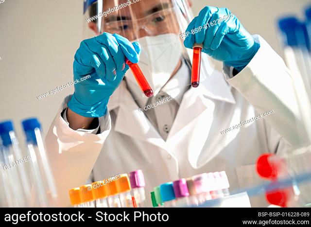 Laboratory technician performing blood tests in the laboratory