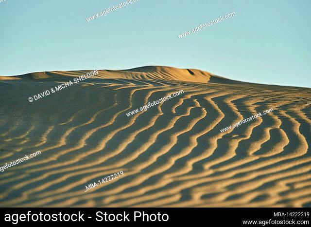 Sand dunes, Ebro River Delta, Catalonia, Spain