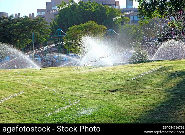 Watering of grassy lawn at resort in Egypt. Hotel with well-groomed territory. Watering green grass in territory of hotel
