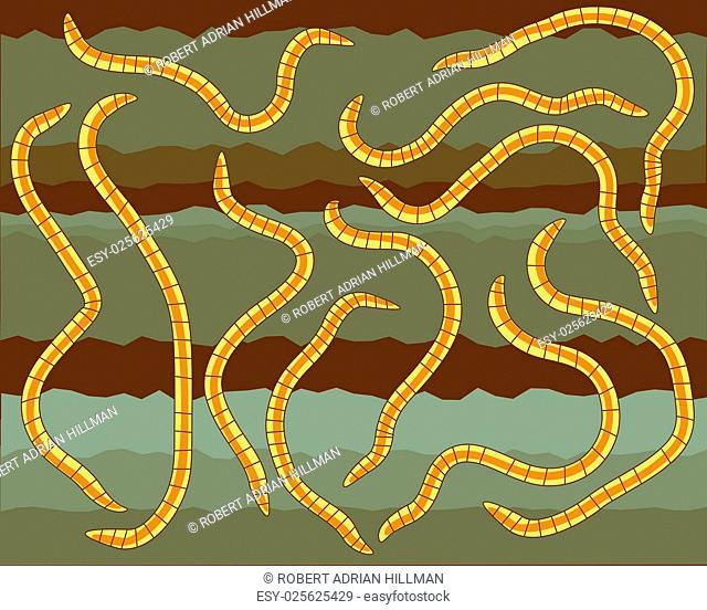 Vector illustration of earthworms in soil
