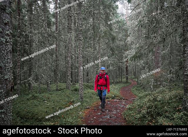 Man hiking through forest in Skuleskogen National Park in eastern Sweden