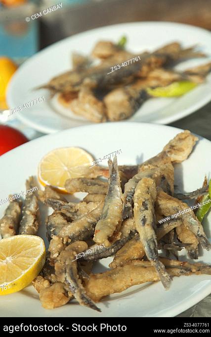 Close up shot of fried mackerel in a plate served with lemon in a restaurant in Cengelkoy village, a neighbourhood on the Asian side of the Bosphorus in...