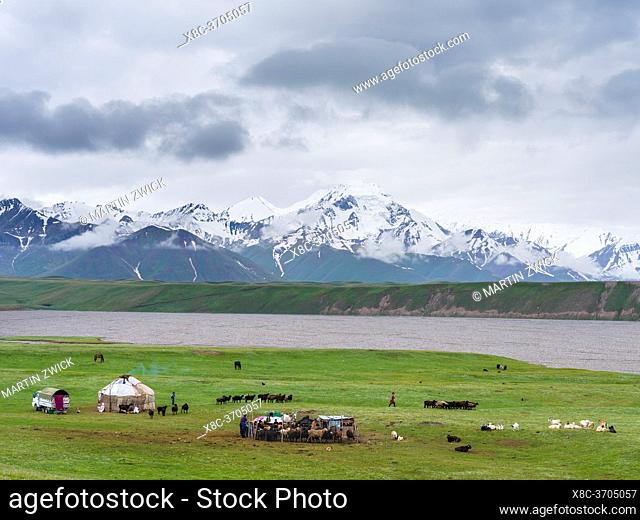 Traditional yurt the Transalai mountains in the background. Alaj valley in the Pamir Mountains, Asia, Central Asia, Kyrgyzstan