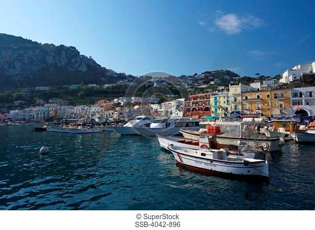 Boats and yachts at a harbor, Marina Grande, Capri, Campania, Italy