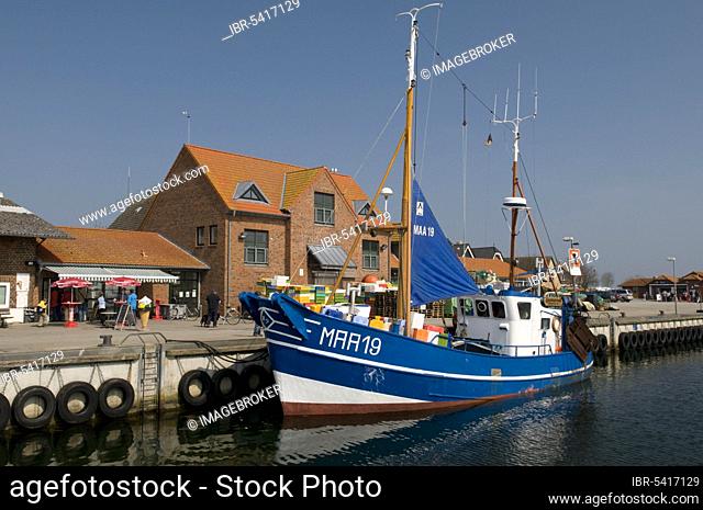 Fishing boat in the harbour, fishing village, Schlei, Maasholm, Schleswig-Holstein, Germany, Europe