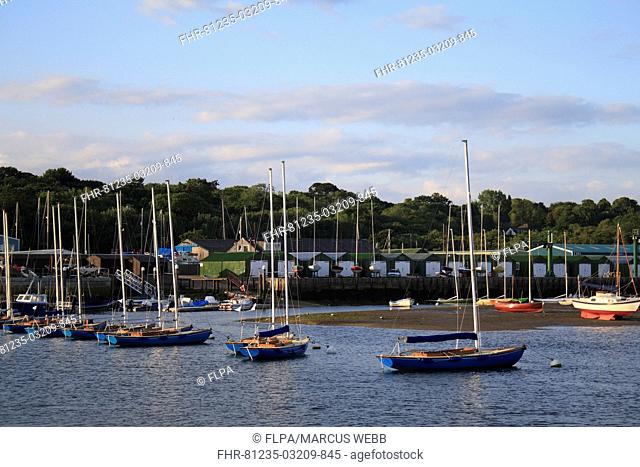 Sailing boats moored in harbour with incoming tide at dawn, Bembridge Harbour, Bembridge, Wight, England, june