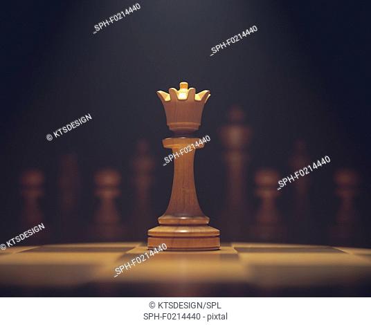 Chess queen on board