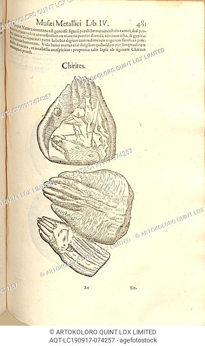 Chirites, Stalactite figure in the form of a 17th century hand, Fig. 1, p. 481, 1648, Ulysses Aldrovandi: Ulyssi Aldrovandi patricii Bononiensis Musaeum...
