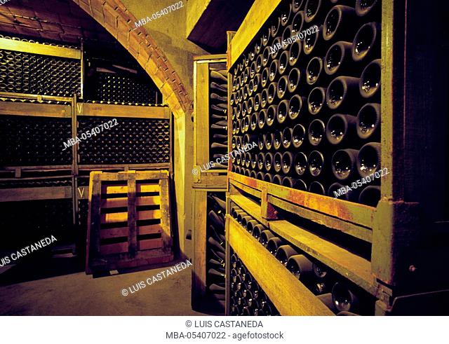 Storage of Cava Wine Bottles, Freixenet Caves