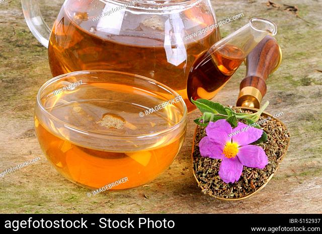 Cup and pot of cistus tea (Cistus incanus tauricus), grey-hairy cistus, teapot