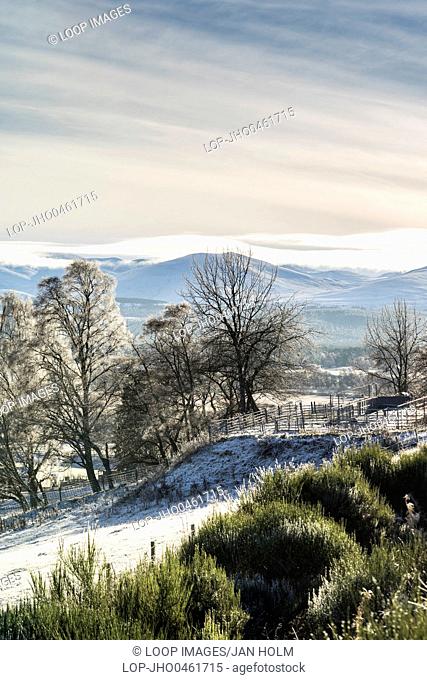 Abernethy view to Cairngorms in Scotland