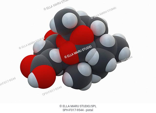 Artesunate malaria drug molecule. Chemical formula is C19H28O8. Atoms are represented as spheres: carbon (grey), hydrogen (white), oxygen (red)