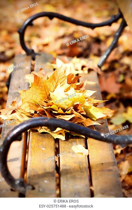 Wooden bench in autumn park - vintage photo