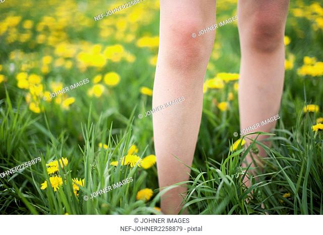 Bare legs and daffodils