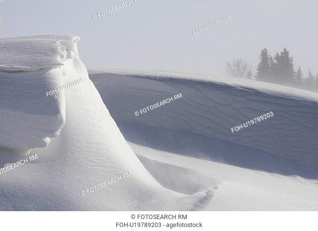 water tree nature winter snow bank in storm cold