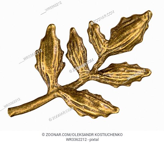 Filigree in the form of a branch of plant , decorative element for manual work, isolated on white, with clipping path