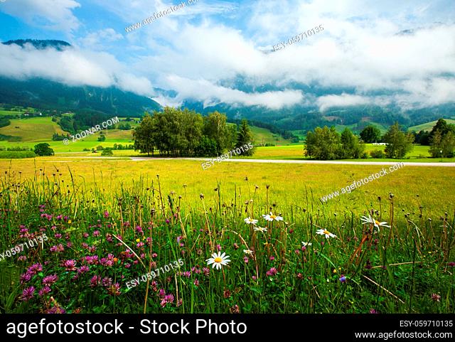 Alps mountain meadow tranquil summer view, Austria