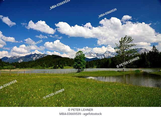 Germany, Bavaria, Werdenfels, Gerold, Geroldsee, marsh meadow, Karwendel mountains, Soierngebirge