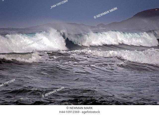 waves, playa, Hermosa beach, ensenada, baja California, Mexico, waves, big, water, sea, almejas bay