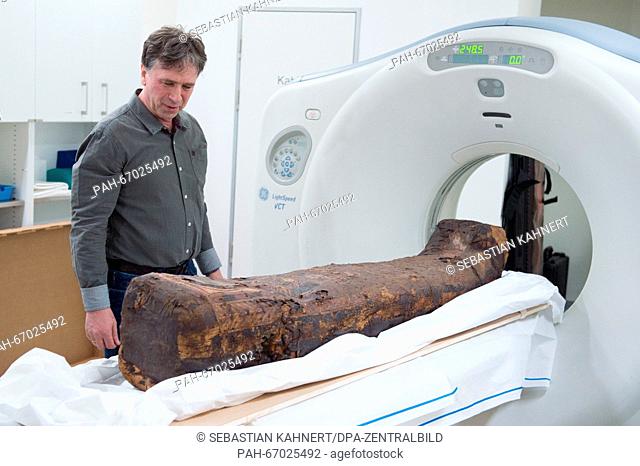 Museologist Juergen Lange of the Dresden State Art Collections (SKD) inspects a 1600-year-old mummy for a computed tomography (CT) scan at the Friedrichstadt...