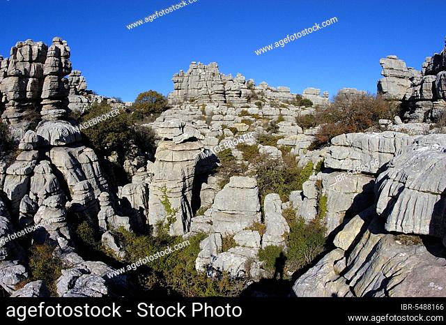 Jurassic limestones, El Torcal de Antequera Natural Park, Malaga Province, Andalusia, Spain, Europe