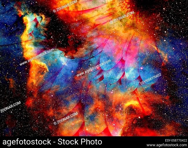 Space and stars with flower, color galaxi background, computer collage