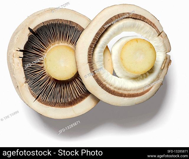 Two button mushrooms