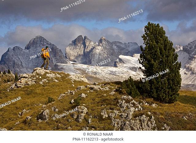 Climbing in the Dolomites near the Grodener and Selva Passes, Wolkenstein. Alto Adige, Italia