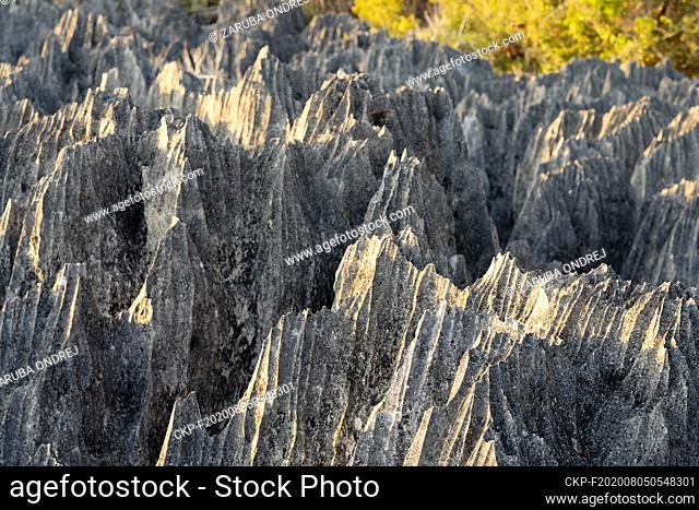 Tsingy de Bemaraha (CTK Photo/Ondrej Zaruba)