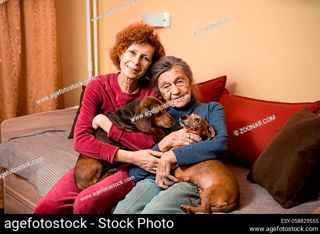 Elder woman and her adult daughter together with two dachshund dogs on sofa indoors spend time happily, portrait. Theme of mother and daughter relationship